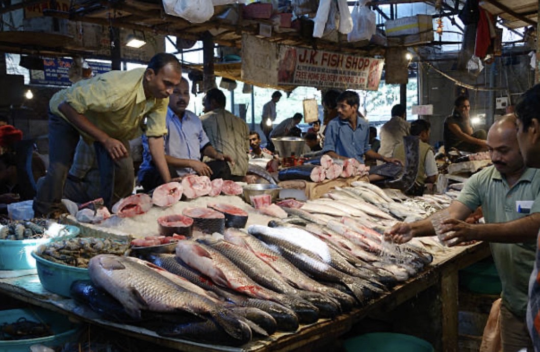 Fish Market